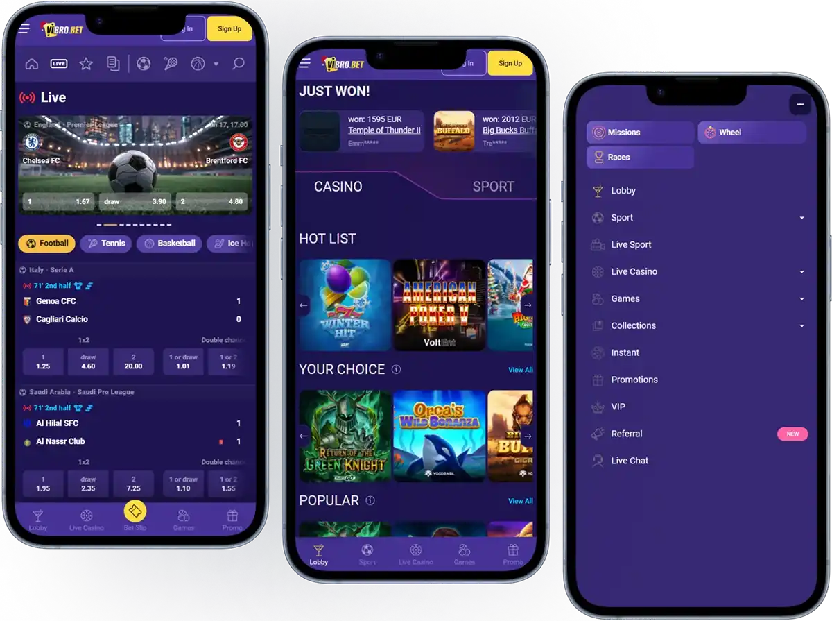 VibroBet Casino App and Mobile Usage